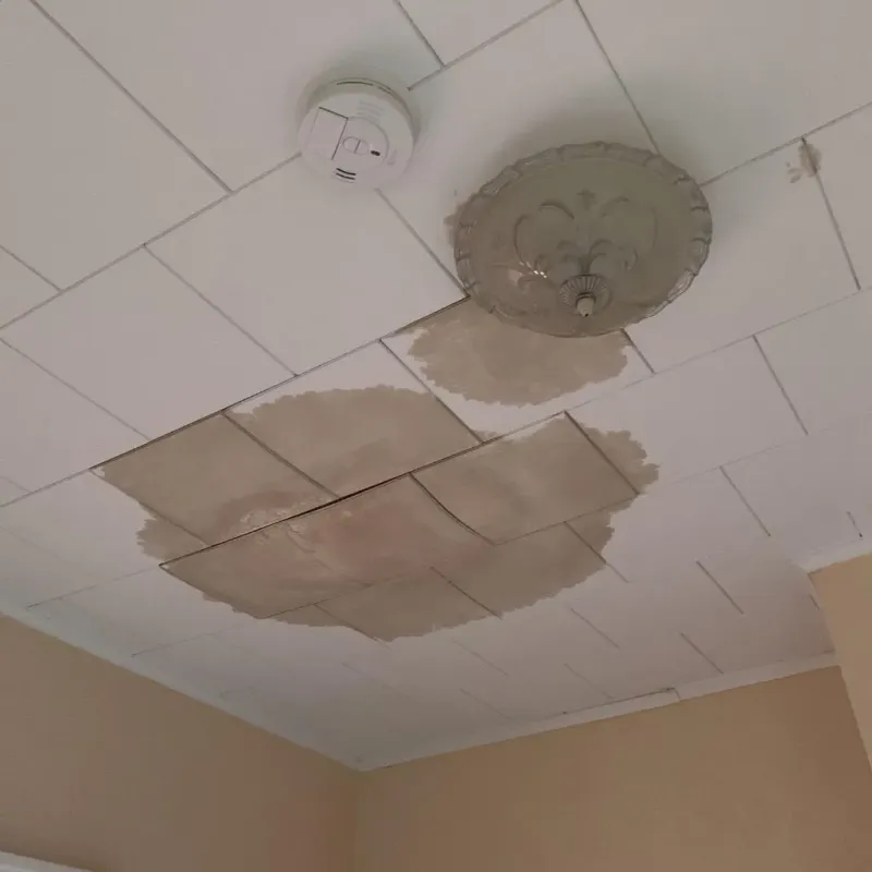 Ceiling Water Damage Repair in Beach City, OH
