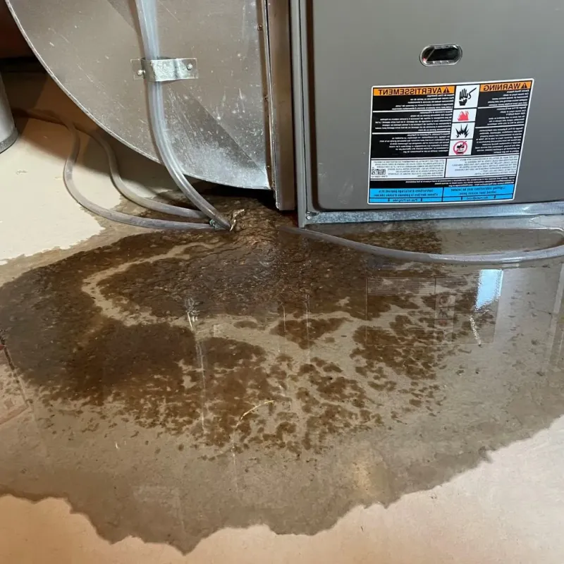 Pipe Burst and Leak Restoration in Beach City, OH