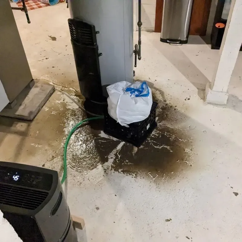 Sewage Backup Cleanup Service in Beach City, OH